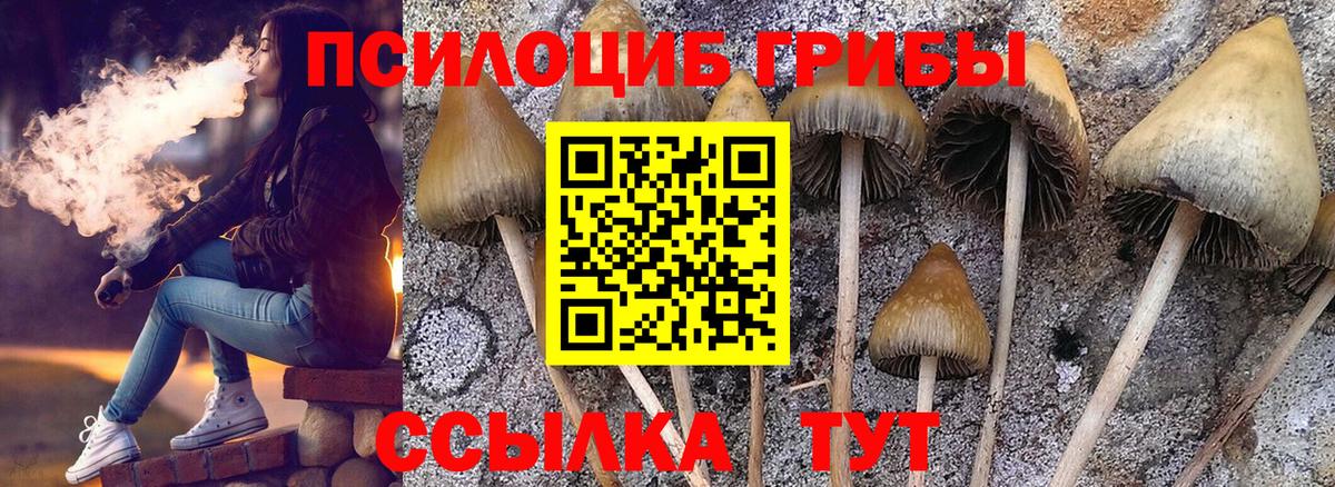 Волгодонск  Галлюциногенные грибы Psilocybe  Вход с VPN 